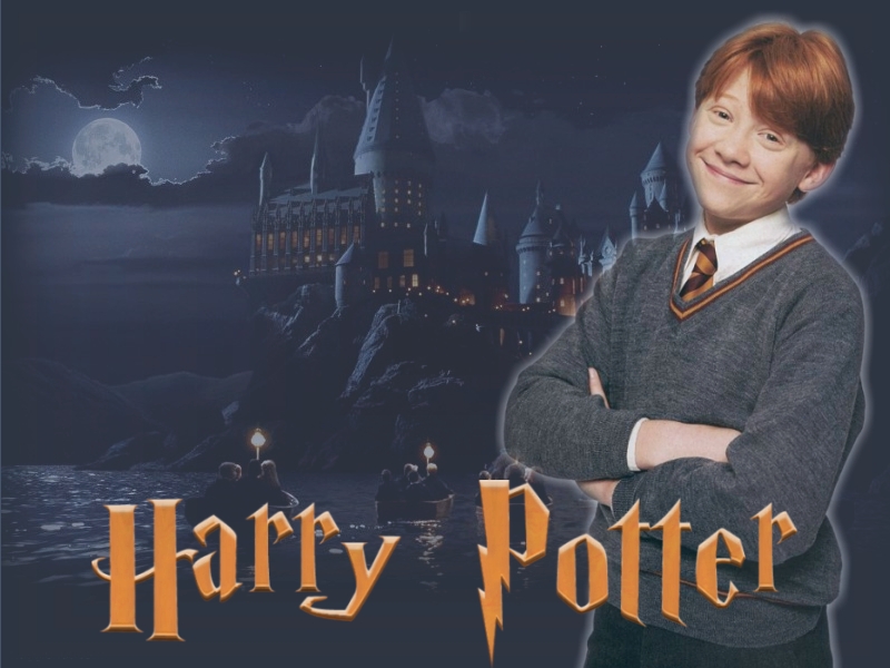 ron13a.jpg